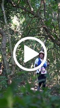 BIB:  <button type="button" onclick="openModal(28064012)" class="btn btn-primary btn-sm float-right" data-toggle="modal" data-target=".modal-high-quality">
                <i class="fa fa-download"></i> Download
                </button>